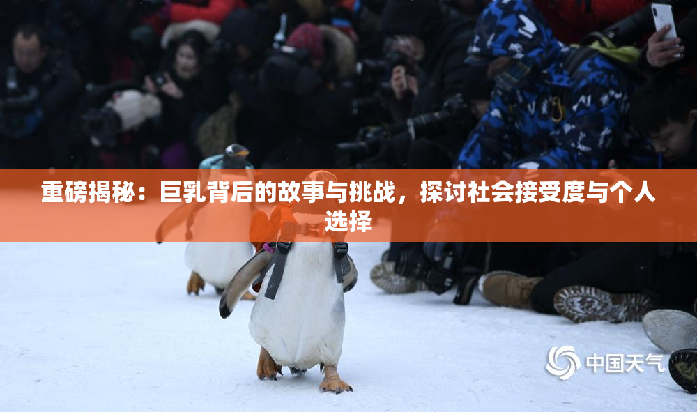 重磅揭秘：巨乳背后的故事与挑战，探讨社会接受度与个人选择