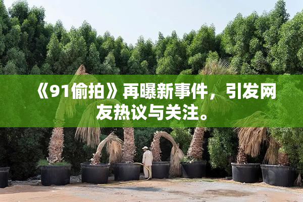 《91偷拍》再曝新事件，引发网友热议与关注。