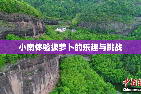 小南体验拔萝卜的乐趣与挑战