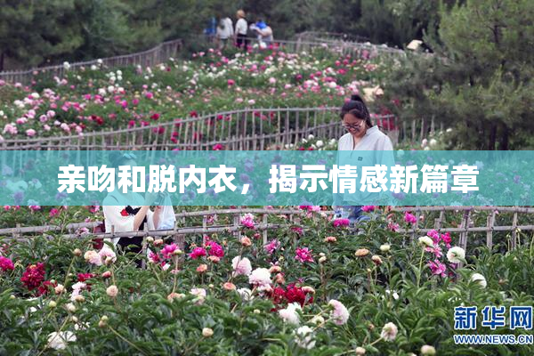 亲吻和脱内衣，揭示情感新篇章