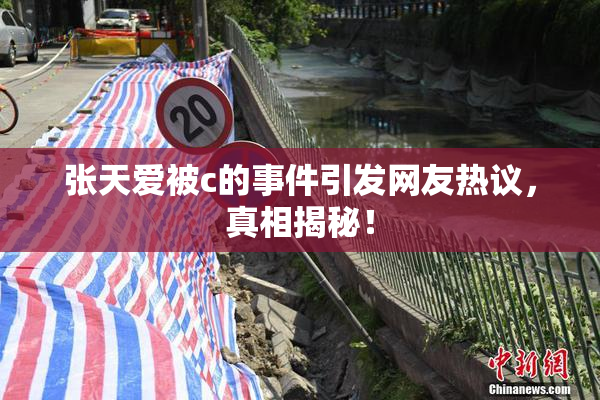 张天爱被c的事件引发网友热议，真相揭秘！