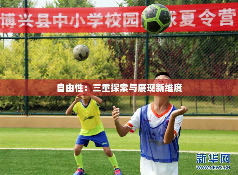 自由性：三重探索与展现新维度