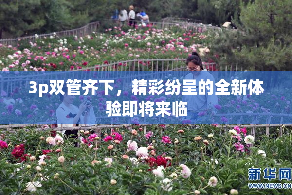 3p双管齐下，精彩纷呈的全新体验即将来临