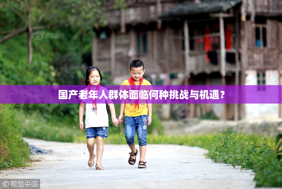 国产老年人群体面临何种挑战与机遇？
