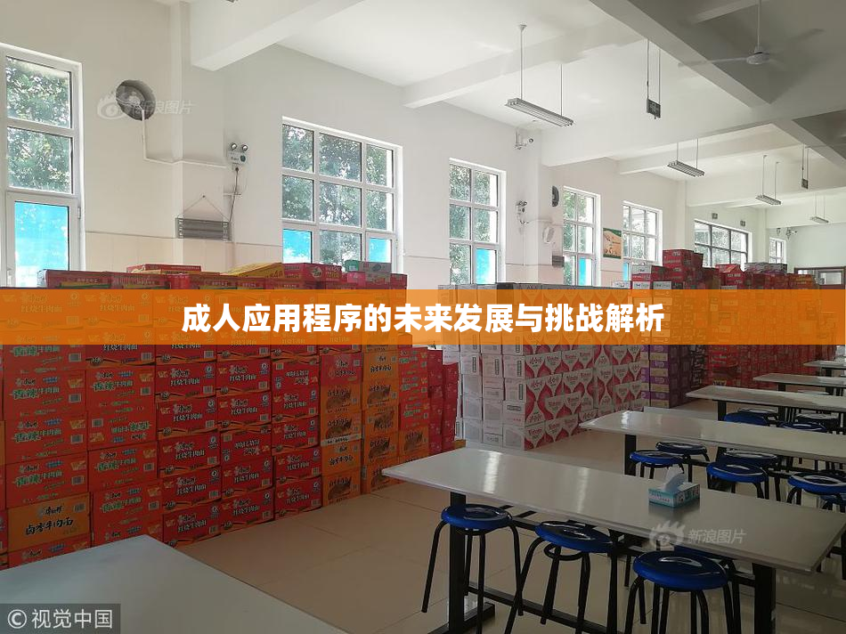 成人应用程序的未来发展与挑战解析