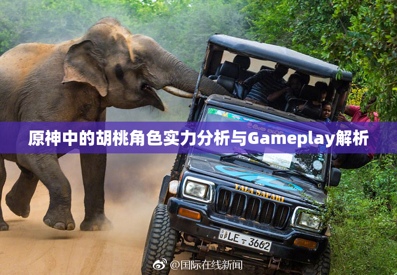 原神中的胡桃角色实力分析与Gameplay解析
