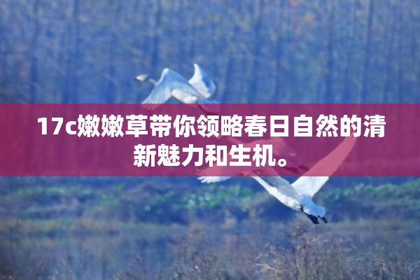 17c嫩嫩草带你领略春日自然的清新魅力和生机。