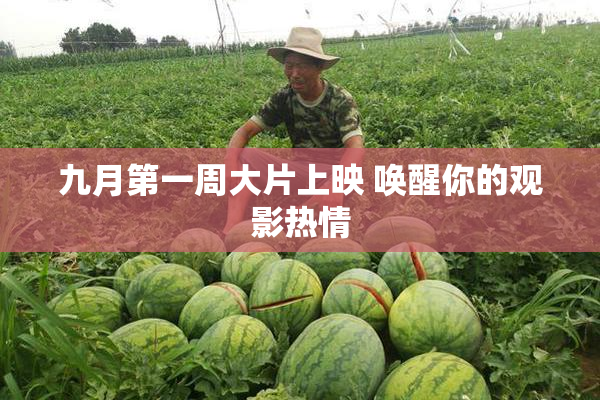 九月第一周大片上映 唤醒你的观影热情