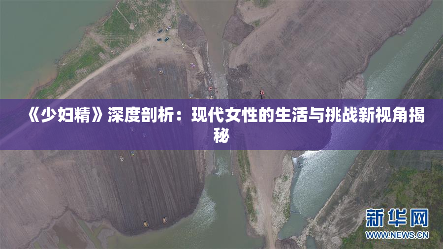 《少妇精》深度剖析：现代女性的生活与挑战新视角揭秘