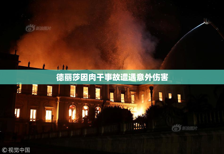 德丽莎因肉干事故遭遇意外伤害