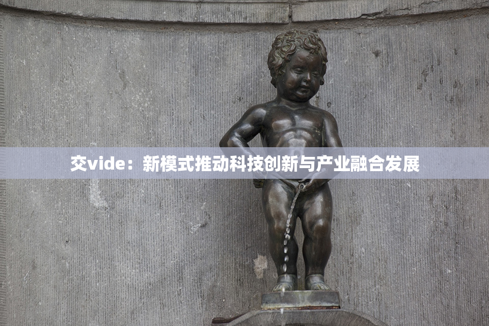 交vide：新模式推动科技创新与产业融合发展