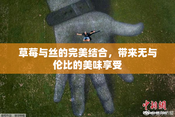 草莓与丝的完美结合，带来无与伦比的美味享受