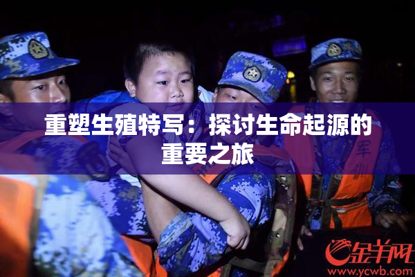 重塑生殖特写：探讨生命起源的重要之旅