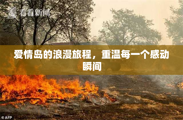 爱情岛的浪漫旅程，重温每一个感动瞬间