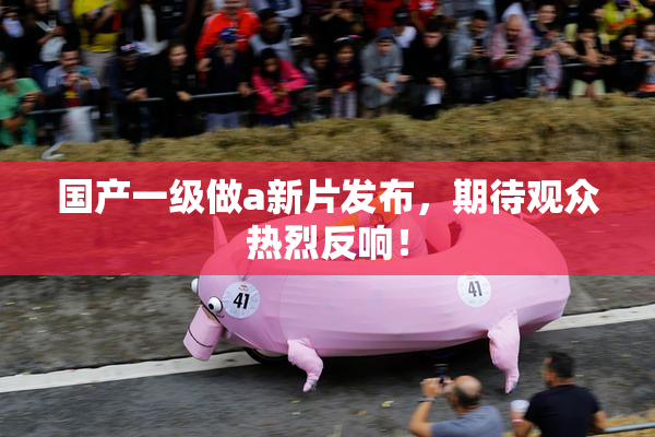 国产一级做a新片发布，期待观众热烈反响！