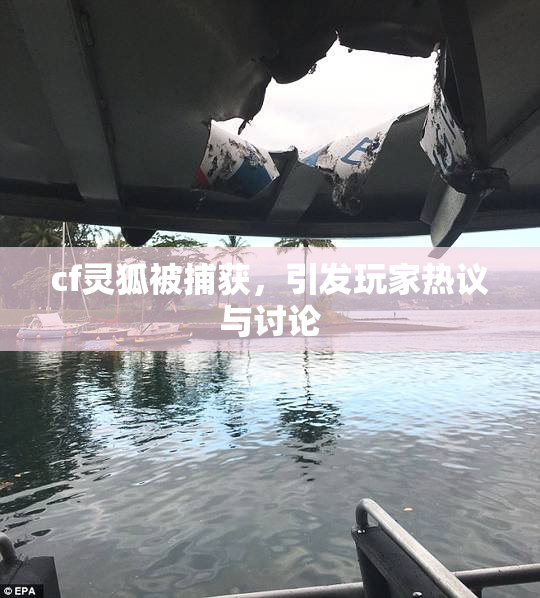 cf灵狐被捕获，引发玩家热议与讨论