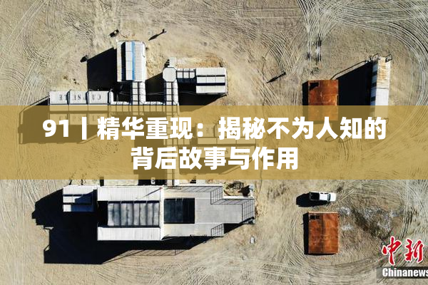 91丨精华重现：揭秘不为人知的背后故事与作用