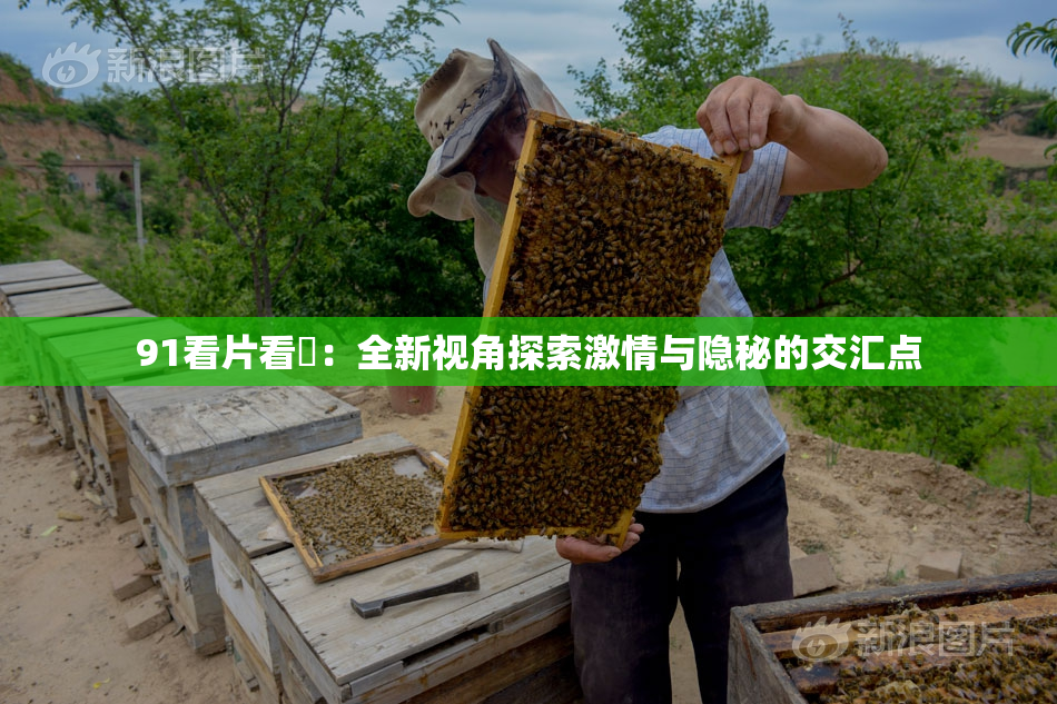 91看片看婬：全新视角探索激情与隐秘的交汇点