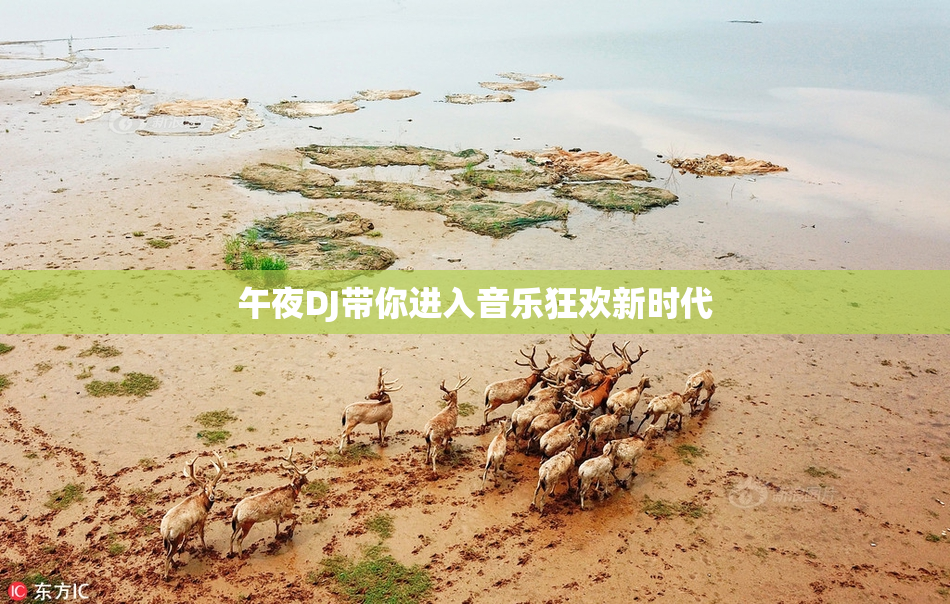 午夜DJ带你进入音乐狂欢新时代