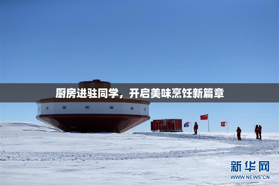 厨房进驻同学，开启美味烹饪新篇章