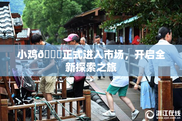小鸡🐔正式进入市场，开启全新探索之旅