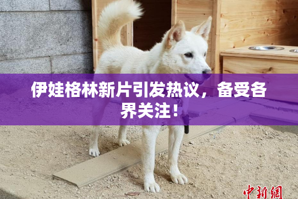 伊娃格林新片引发热议，备受各界关注！