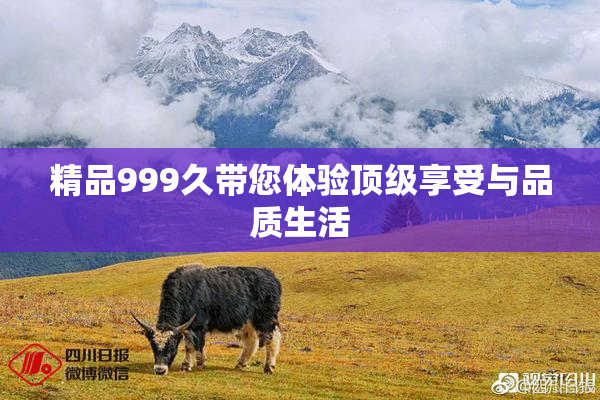 精品999久带您体验顶级享受与品质生活