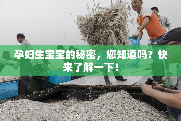 孕妇生宝宝的秘密，您知道吗？快来了解一下！