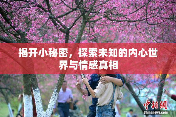 揭开小秘密，探索未知的内心世界与情感真相