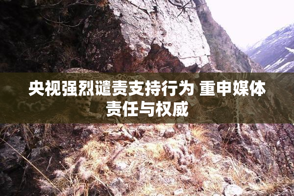 央视强烈谴责支持行为 重申媒体责任与权威