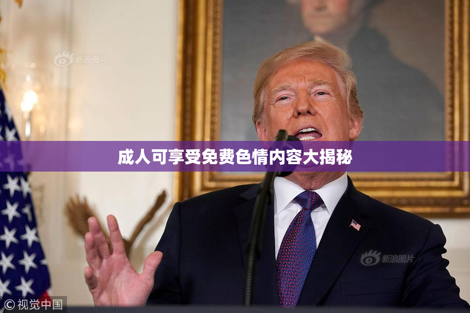 成人可享受免费色情内容大揭秘