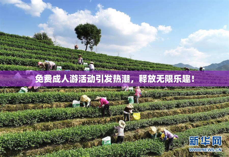 免费成人游活动引发热潮，释放无限乐趣！