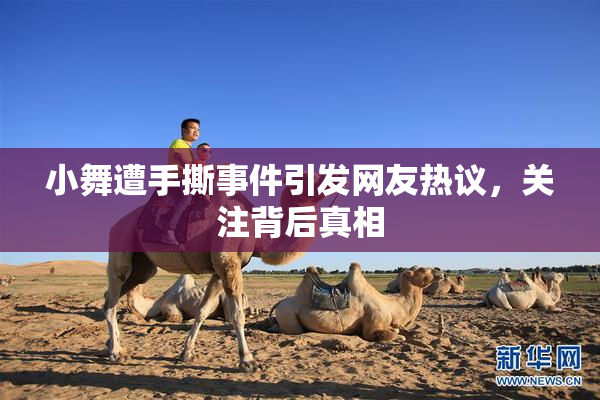 小舞遭手撕事件引发网友热议，关注背后真相