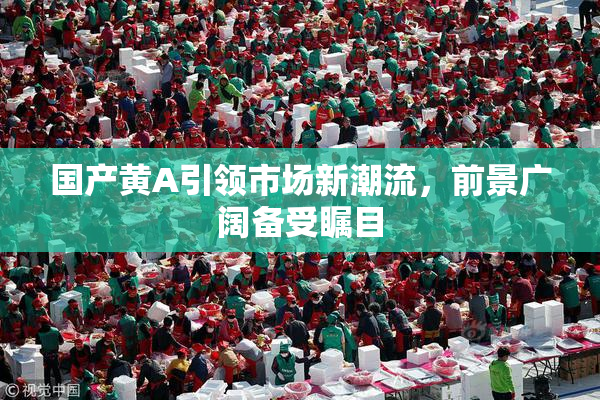 国产黄A引领市场新潮流，前景广阔备受瞩目