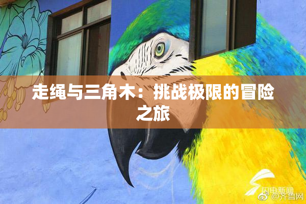 走绳与三角木：挑战极限的冒险之旅