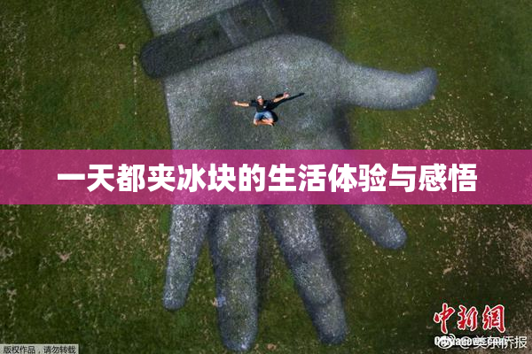 一天都夹冰块的生活体验与感悟
