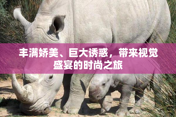 丰满娇美、巨大诱惑，带来视觉盛宴的时尚之旅