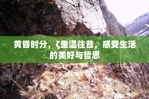 黄昏时分，ζ重温往昔，感受生活的美好与哲思