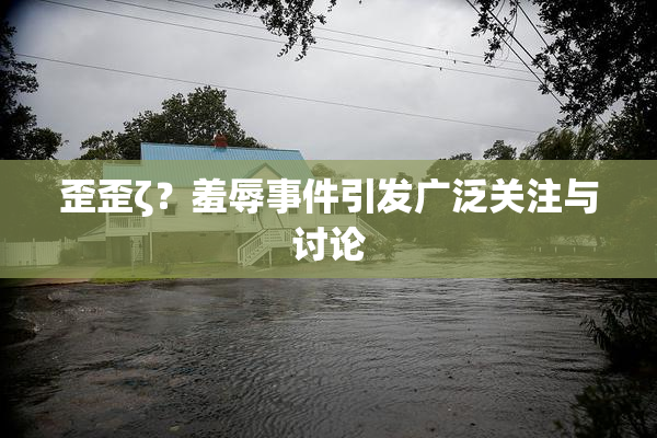 歪歪ζ？羞辱事件引发广泛关注与讨论