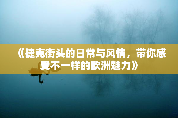 《捷克街头的日常与风情，带你感受不一样的欧洲魅力》