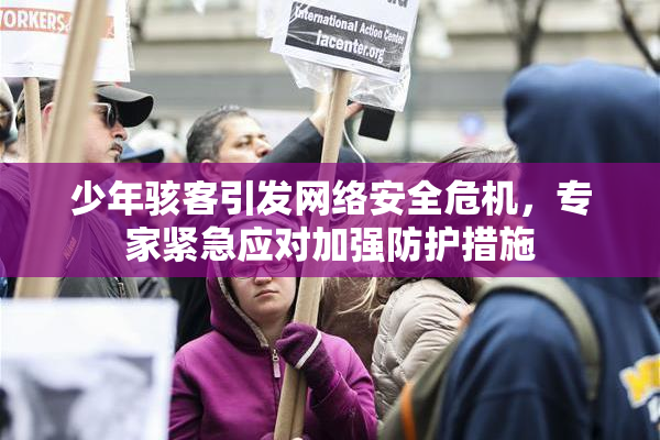少年骇客引发网络安全危机，专家紧急应对加强防护措施