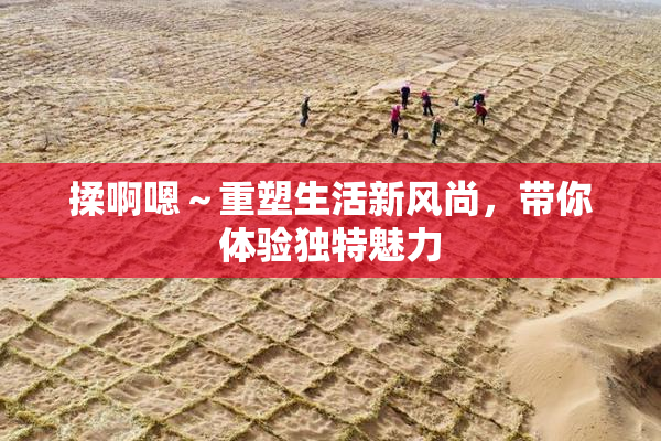 揉啊嗯～重塑生活新风尚，带你体验独特魅力