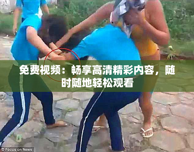 免费视频：畅享高清精彩内容，随时随地轻松观看