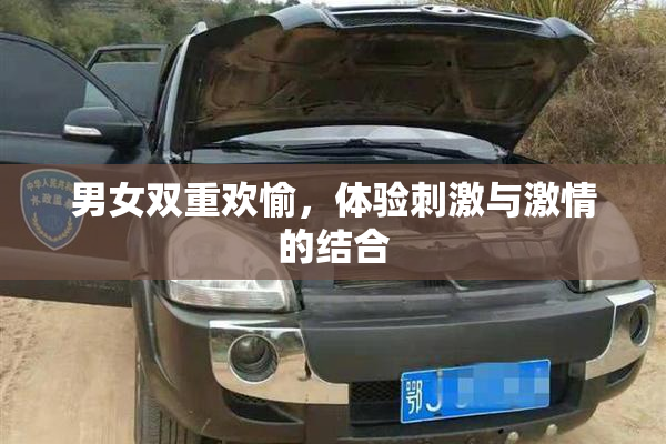 男女双重欢愉，体验刺激与激情的结合
