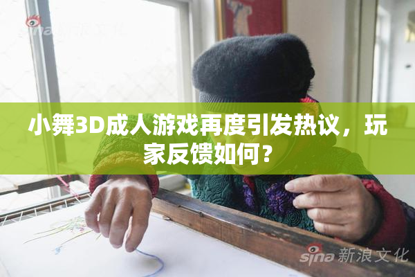 小舞3D成人游戏再度引发热议，玩家反馈如何？