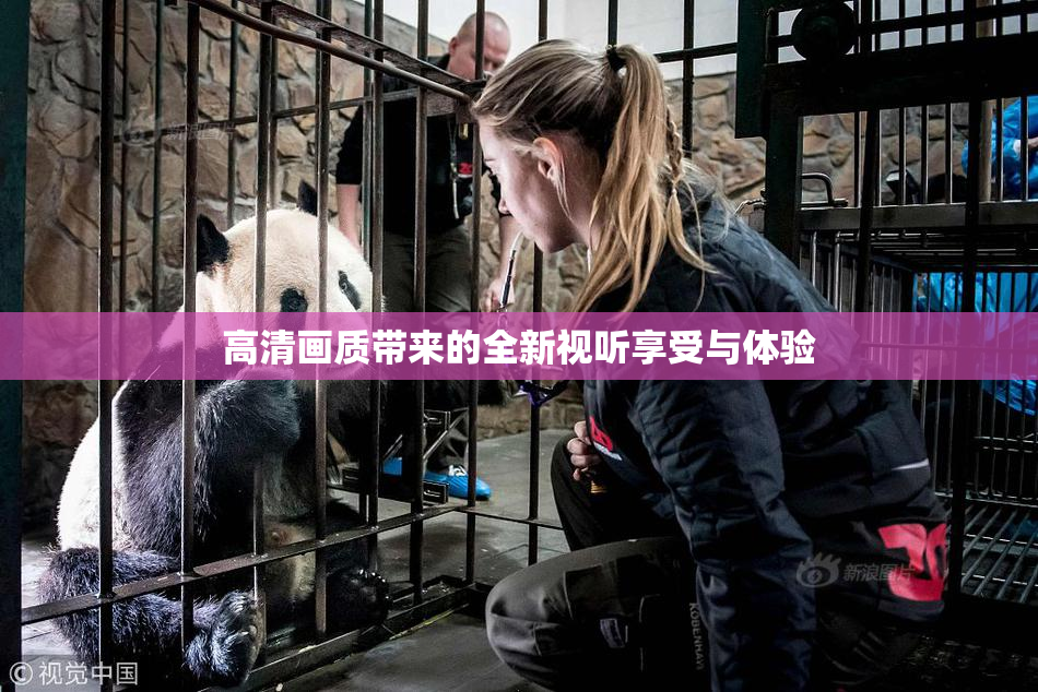 高清画质带来的全新视听享受与体验