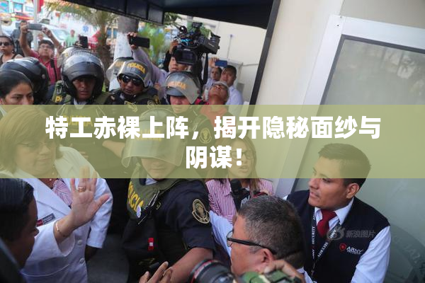 特工赤裸上阵，揭开隐秘面纱与阴谋！