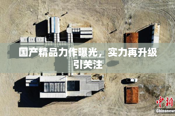 国产精品力作曝光，实力再升级引关注