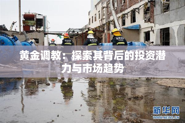 黄金调教：探索其背后的投资潜力与市场趋势
