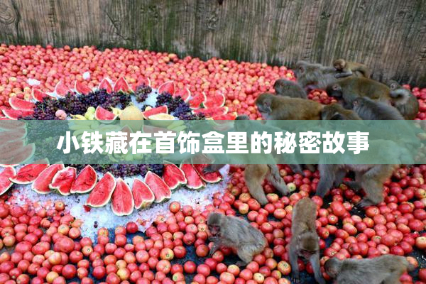 小铁藏在首饰盒里的秘密故事